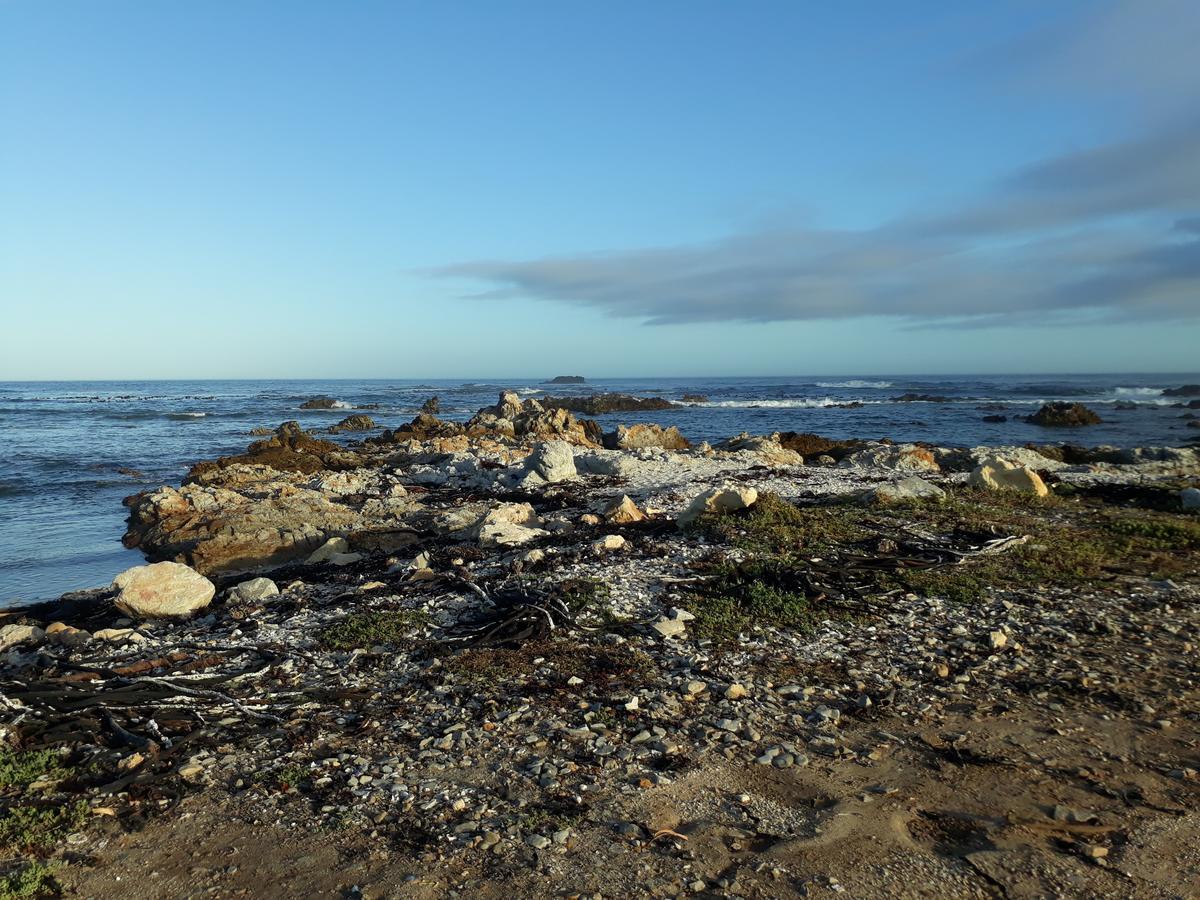 Pik 'N Wyntjie Appartement Gansbaai Buitenkant foto